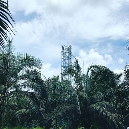 Tropical agriculture greenhouse gases in Borneo (Photo: Yit Arn Teh).